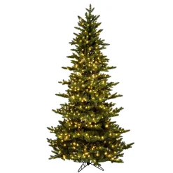7.5' Natural Fraser Dura-Lit 800Ww, K194176Led, Vickerman