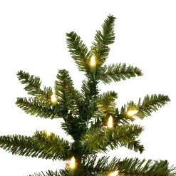 7.5' Natural Fraser Dura-Lit 800Ww, K194176Led, Vickerman