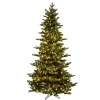 12' Natural Fraser Dura-Lit 1800Ww, K194191Led, Vickerman