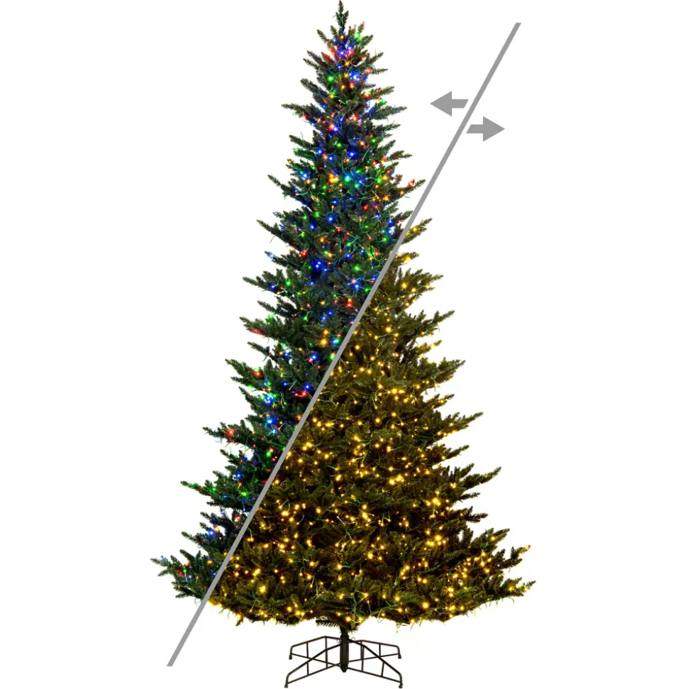 7.5' X 54" Natural Fraser 3Mm Led 1800Cc, K194178Ledcc, Vickerman