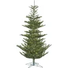 7.5' X 57" Yukon Display 4Mm Led 750Ww, G210176Led, Vickerman
