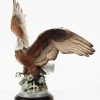 A Symbol Of Freedom, Eagle
