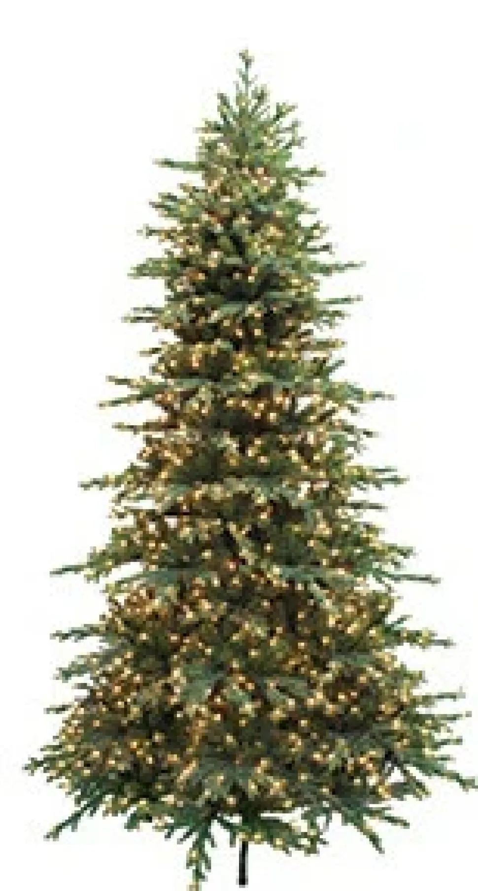 Bryce Canyon Pine 7.5'