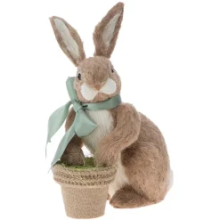 Bunny, Sitting