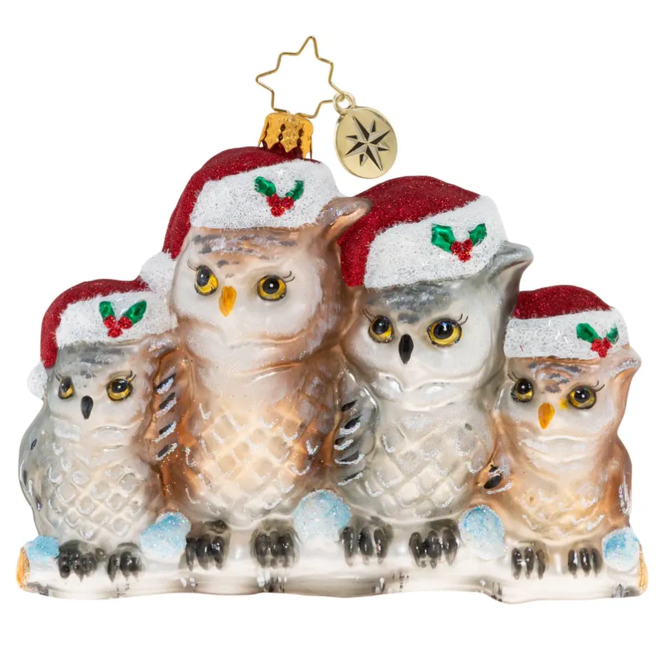 Cr, It's Owl In The Family, 1020506, Christopher Radko