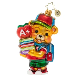Cr, Love To Learn Teddy, 1020346, Christopher Radko