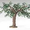 Fig Tree, Fontanini, 56578