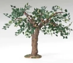 Fig Tree, Fontanini, 56578