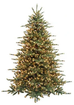 Grand Spruce 7.5'