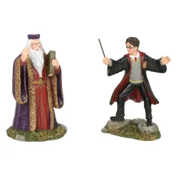 Hp, Harry And The Headmaster, 6002314, Harry Potter Village