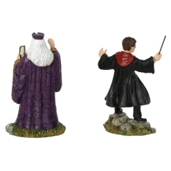 Hp, Harry And The Headmaster, 6002314, Harry Potter Village