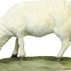 Koult - Sheep Grazing