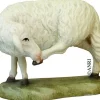 Koult - Sheep Grooming