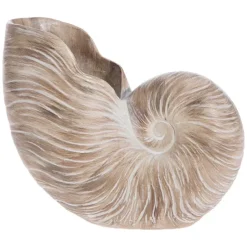 Nautilus Shell Vase