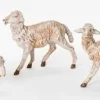 Sheep White Set/3, 7.5", Fontanini, 52899