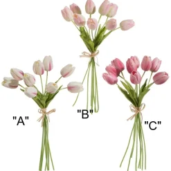 Tulip Bundle