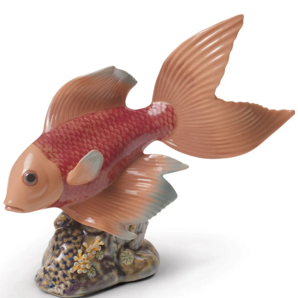 Underwater Calm (Orange), Fish