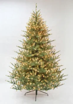 Upswept Douglas Fir Tree 9' Clear