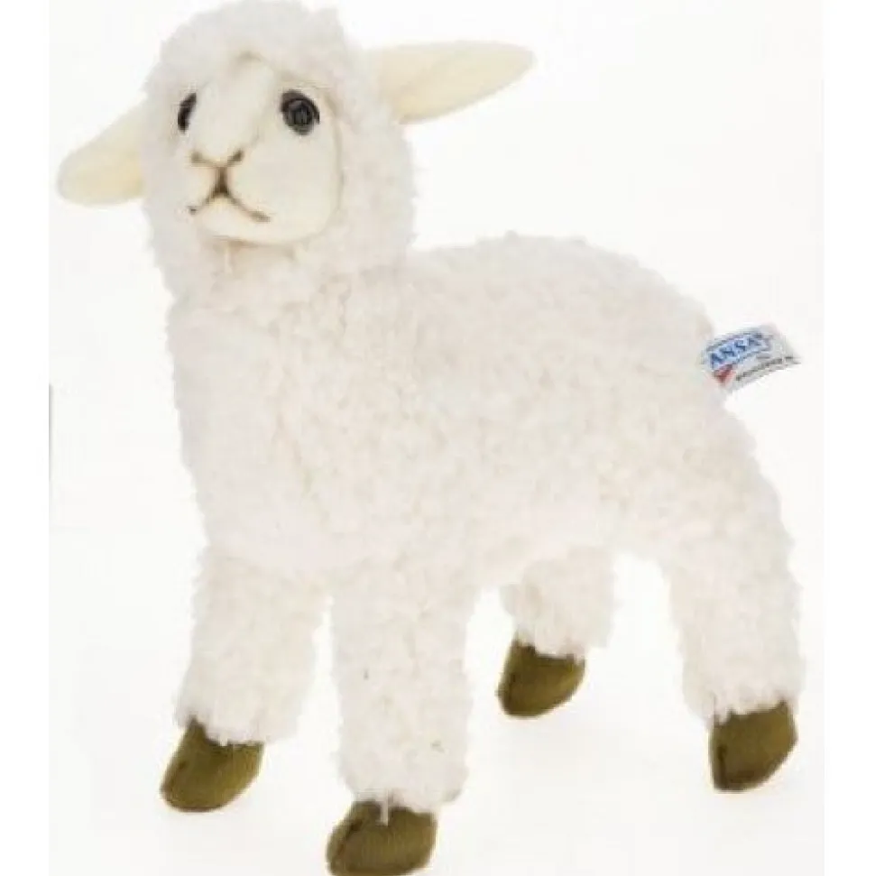 White Sheep Kid