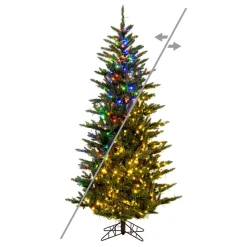 4.5' X 31" Natural Fraser, 3Mm Led 500Cc, K194048Ledcc, Vickerman